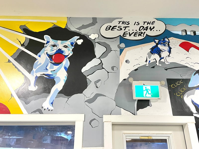 Comic-book speech bubble painted on the Big Dog Barn wall: This is the best… day… ever!