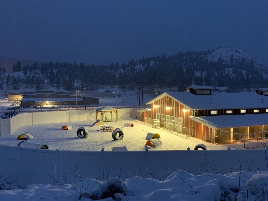 The Big Dog Barn lit warm yellow at night, snow on the yards and hills