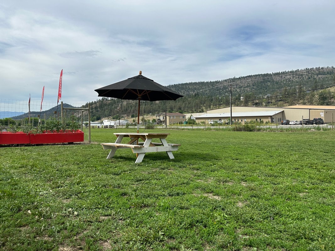 The park: an open grassy field with a picnic table and umbrella, hills behind