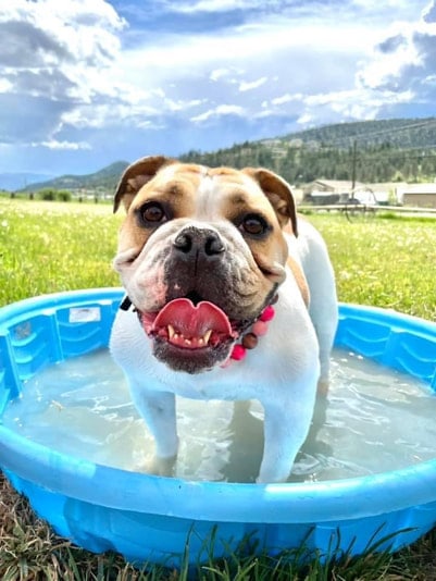 Sophie standing in a pool